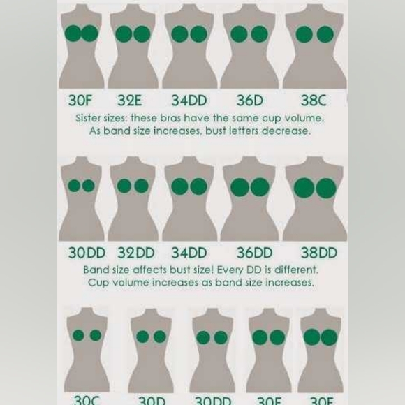 📏 Measurements - Picture 6 of 6